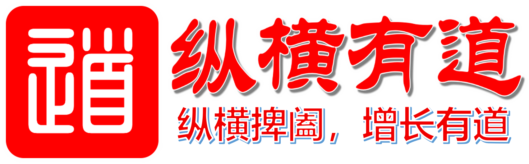 纵横有道